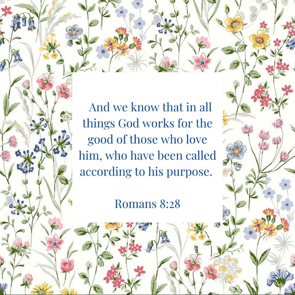 Hope everyone’s having an beautiful day! ✨ - Picture 1 of 3